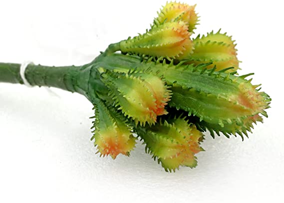 cactus-plant-artificial.jpg