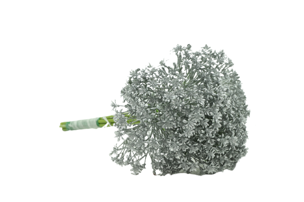 sliver-bush-artifical.png