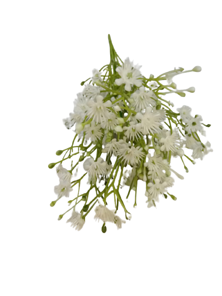 white-bush-flowers-front-side.png