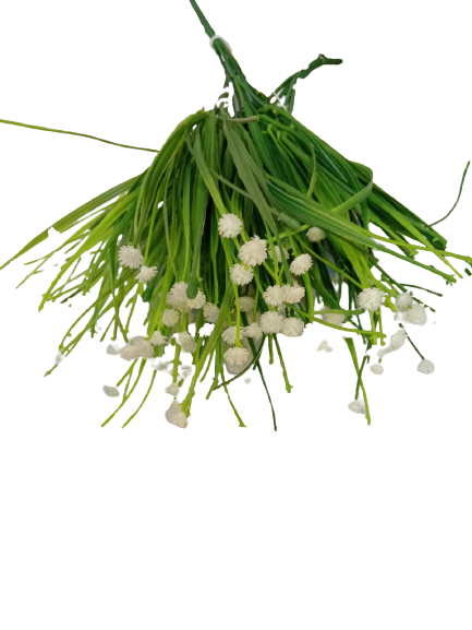 white-bush-flowers-full.png