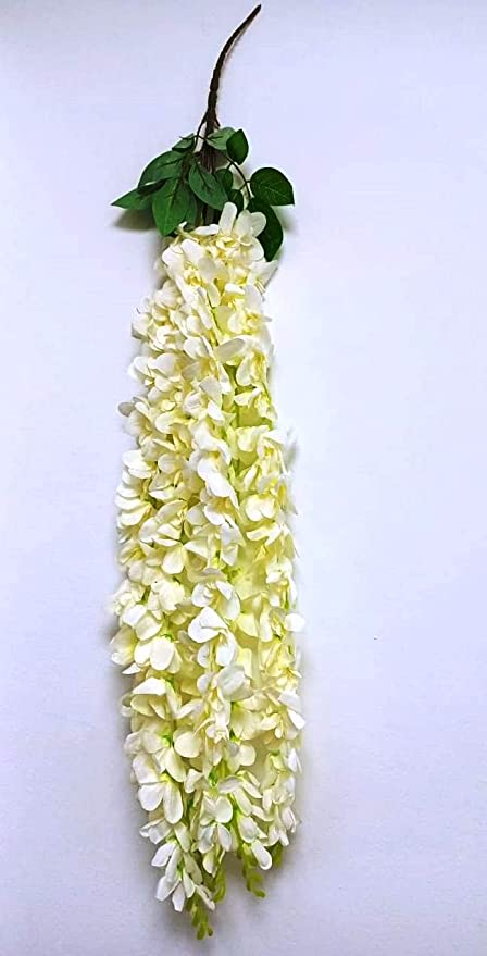 white-orchid-flower-string.jpg